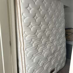  Super Clean & Comfortable BedStory Premium Hybrid Queen Mattress
