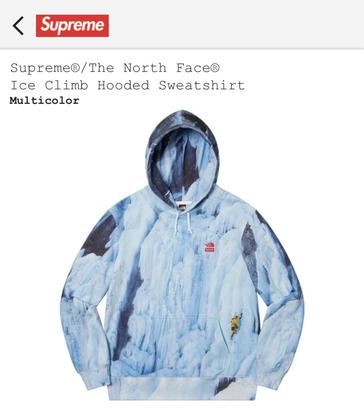 Supreme The North Face Ice Climb Hooded