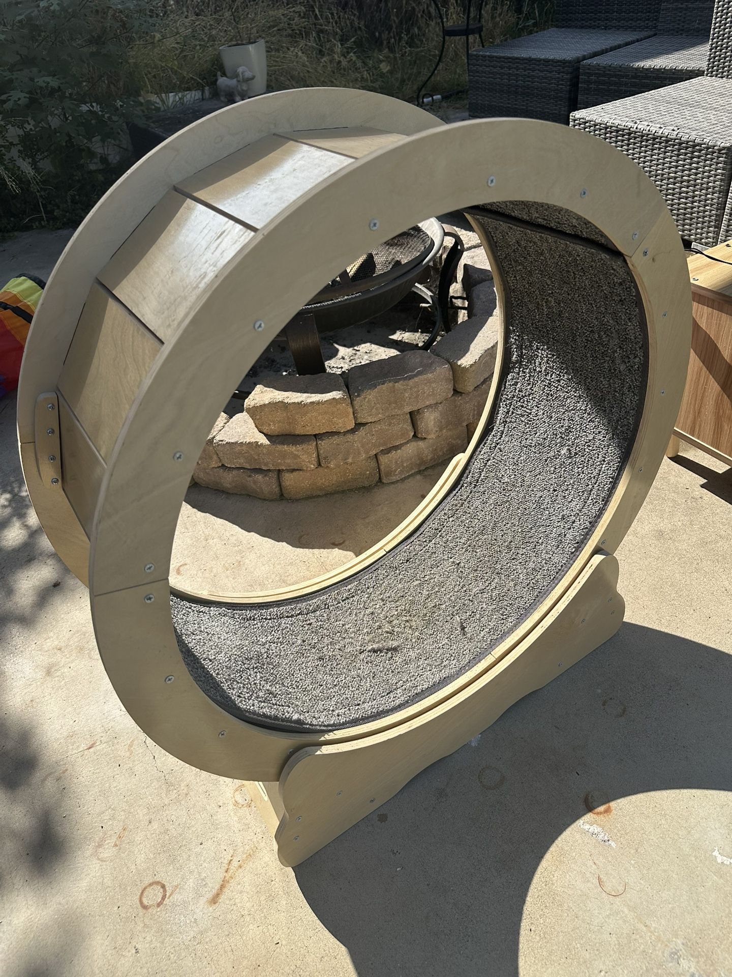 Paid 130 Cat wheel