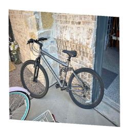 Regular Adult Bike - Smooth Cycling for Everyday Needs hit these