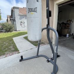 Punching Bag and Stand 