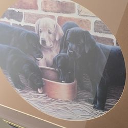 Puppies Numbered Painti G Large 