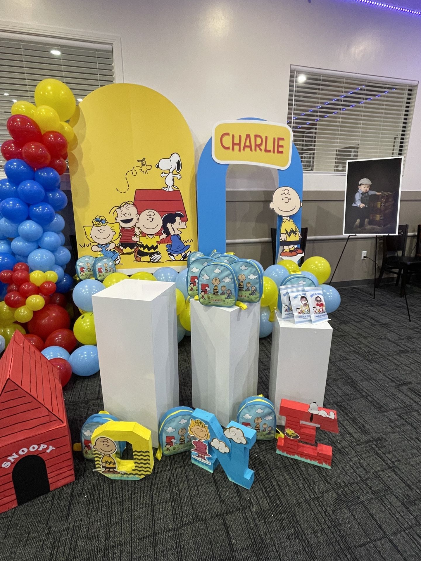 Charlie Brown Backdrop