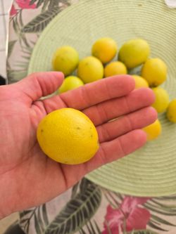 Lemons