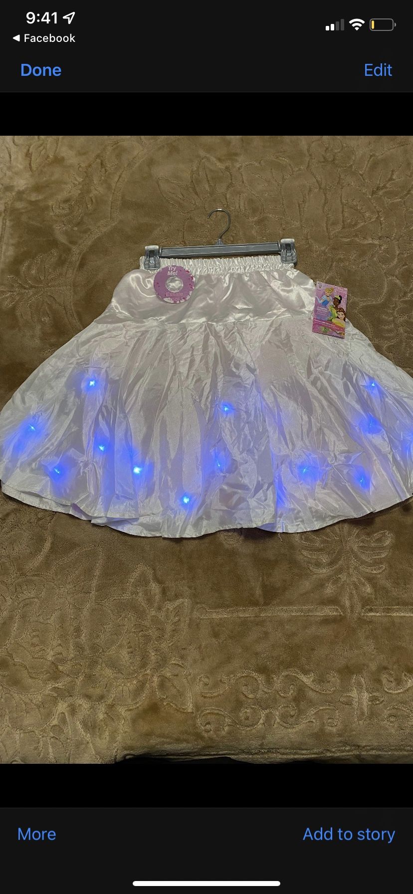 Costume Skirt