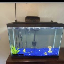 Fish Tank 
