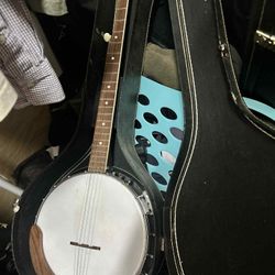 delta 4 string banjo