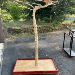Bird Perch/Stand