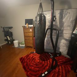 Punching Bag /stand 