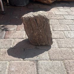 Large petrified wood