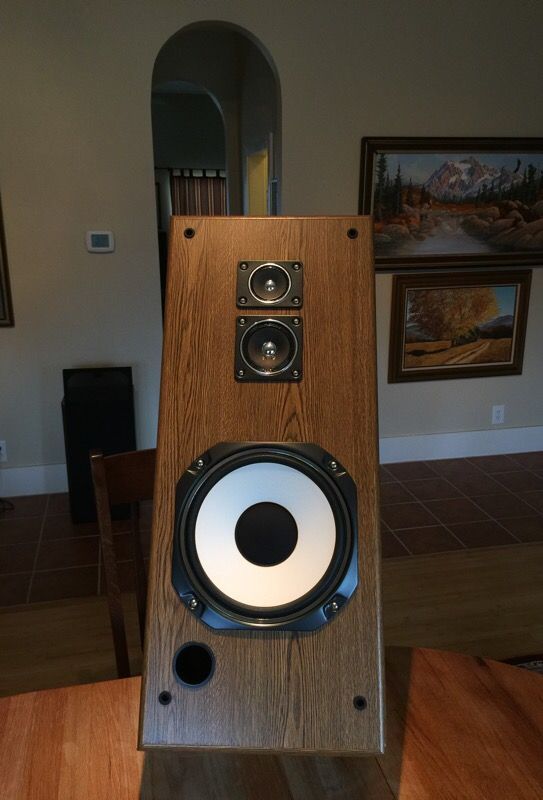Vintage Realistic Speakers 1020