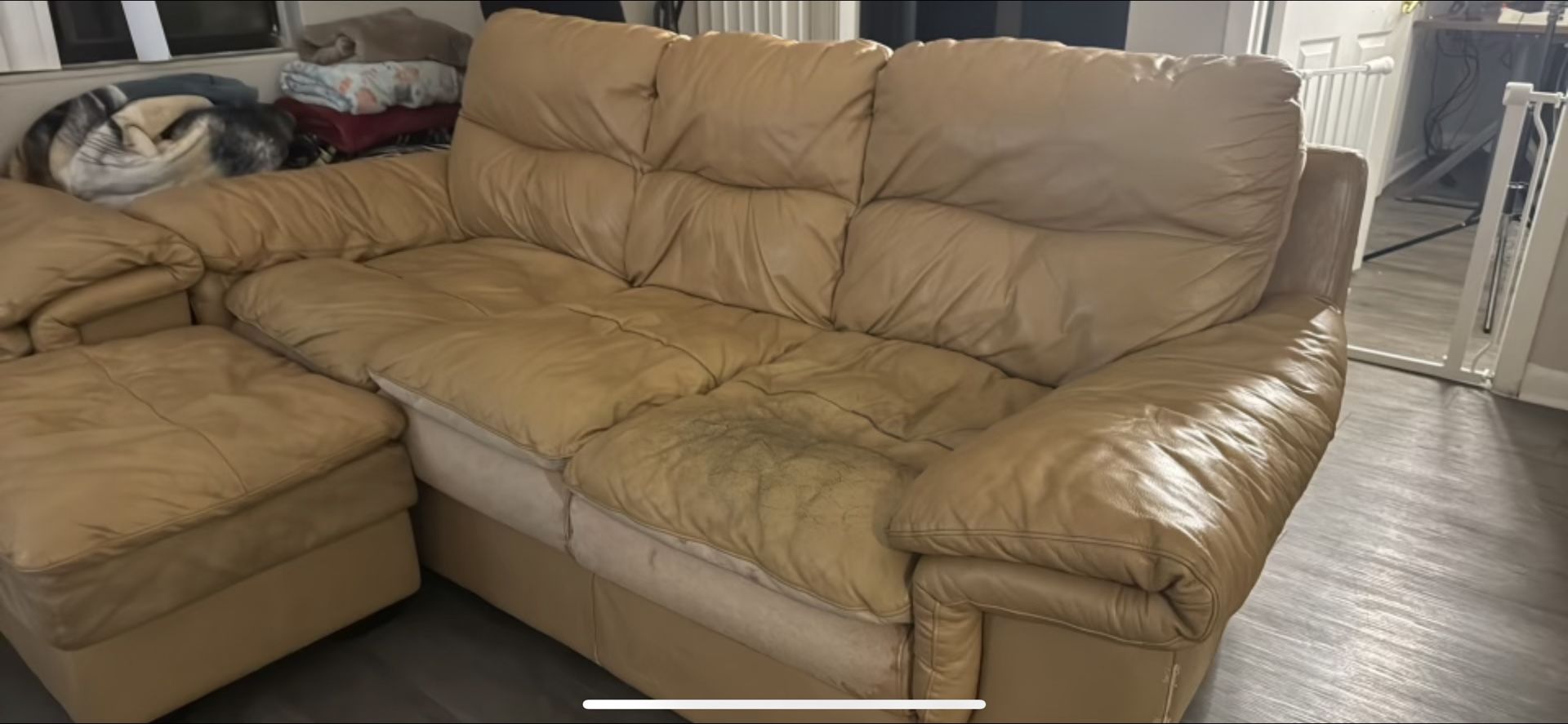 Couch (Leather Set)