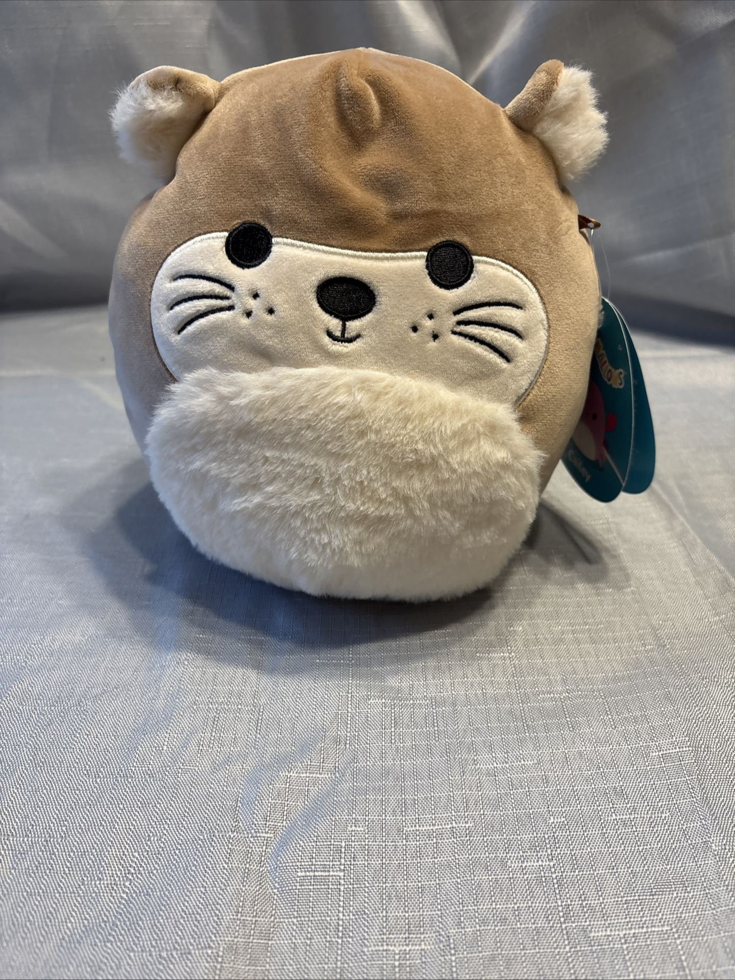 Squishmallows Rie the Otter Squishmallow 8 Inch Brown SQK2802 WITH WRONG TAGS!?!