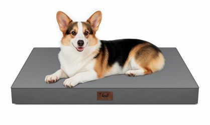 36x27 x3 Inch Waterproof Dog Bed for Large Dogs, Egg Crate Foam Pet Mat with Washable Removable Oxford Cooling Cover, Grey