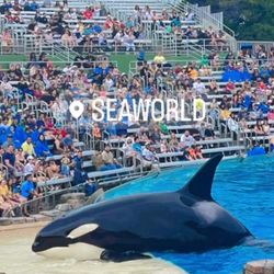 Seaworld And Sesame Place Tickets 