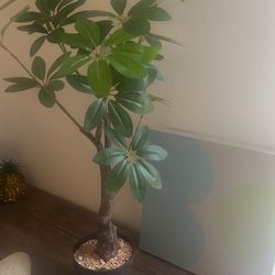 Faux Money Tree