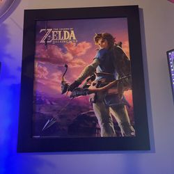 Zelda Framed Photo