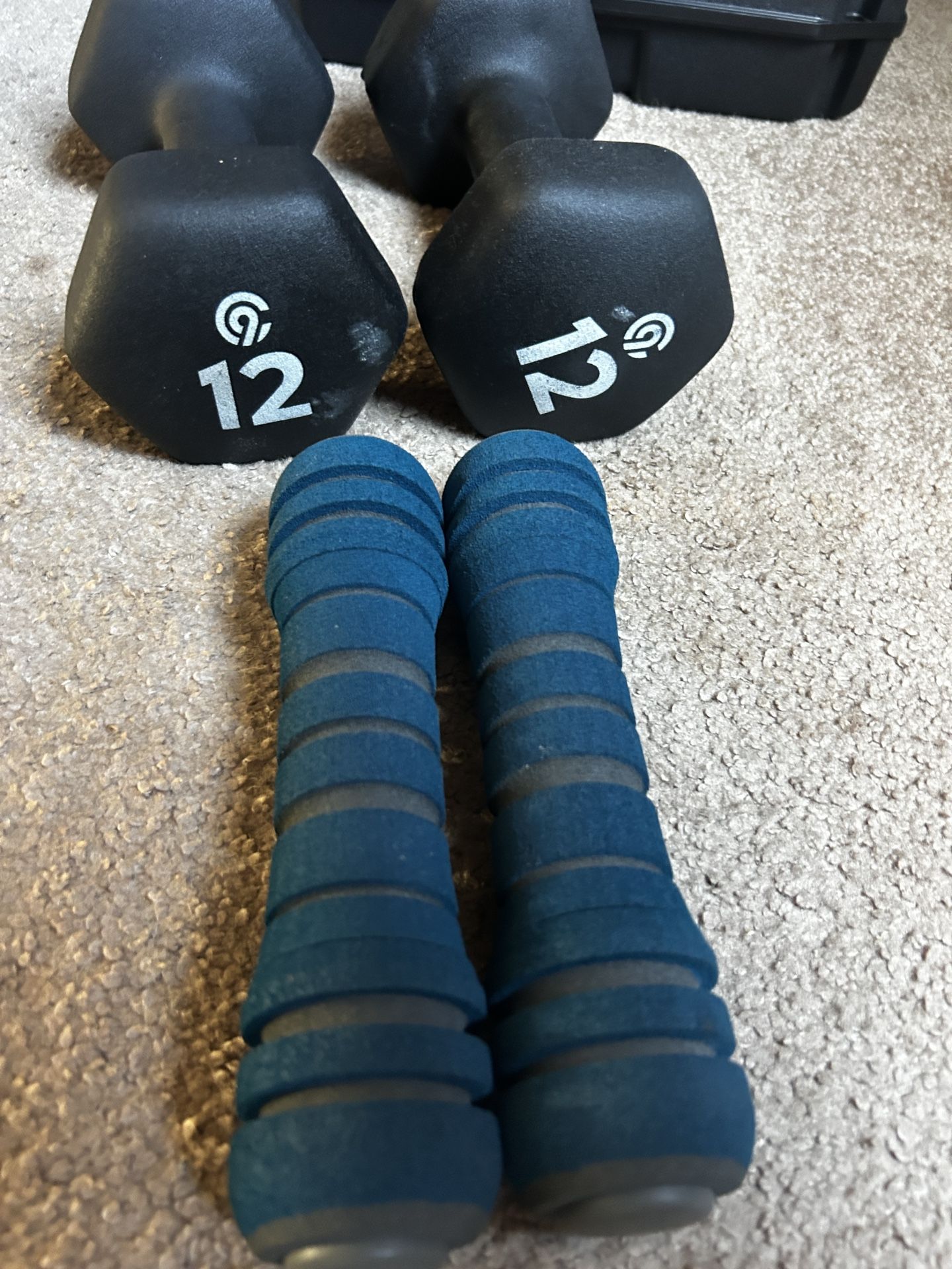 Dumbbell Weights: 3lb And 12lb