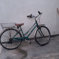 Bisicleta  Las Tantas Estan Desinfladas 