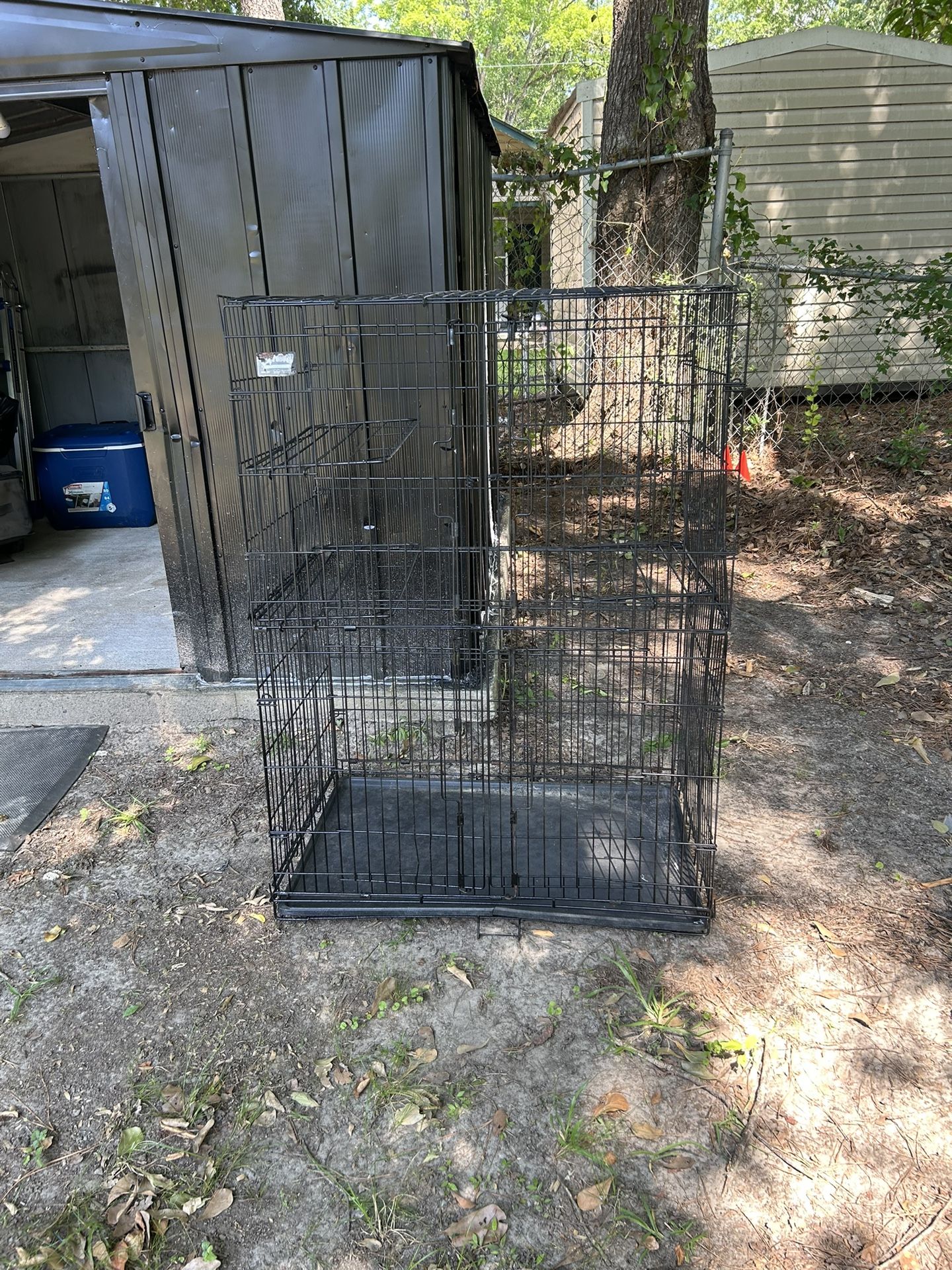 Bird Cage