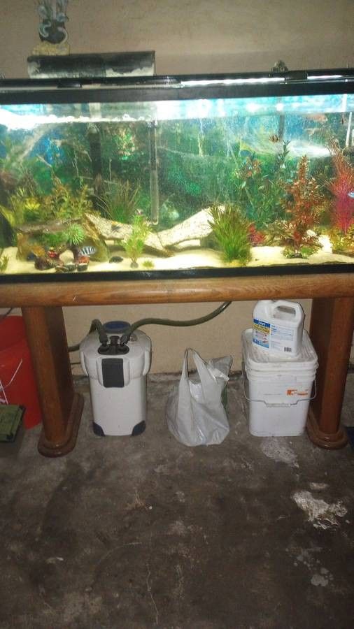 Complete Fish Tank 55 Gallon With Stand