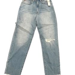 New Hudson Jeans Kass Hugh Rise Straight Ankle Distressed 26