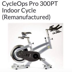 CycleOps Pro PT 300 Spin Bike