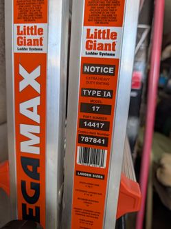 Little giant ladder