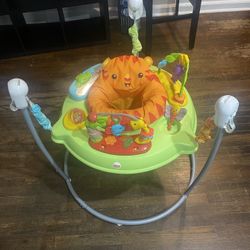Fisher Price Baby Bouncer