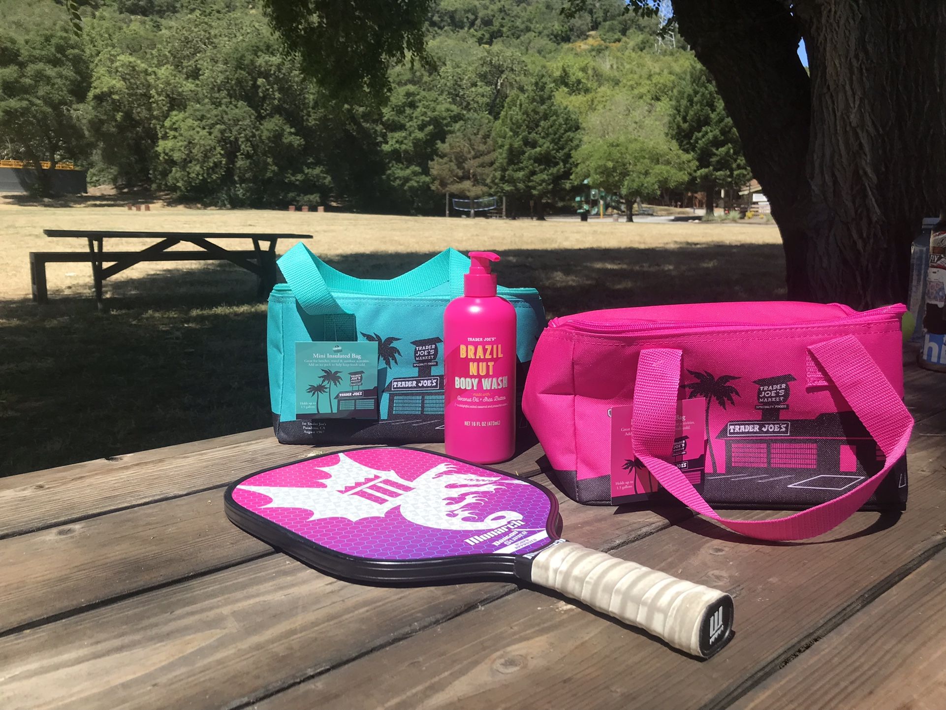 Trader Joes Mini Insulated Bags
