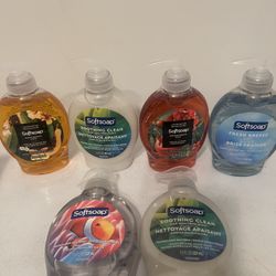 Soft Soap Hand Soap 5/$5