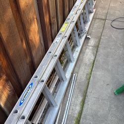 Werner Adjustable Ladder 