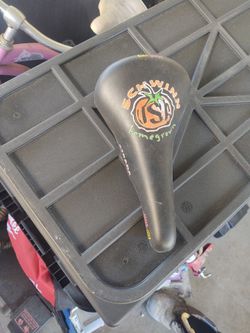 SCHWINN Home Grown Seat Bike