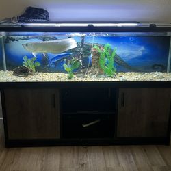 175 Gallon Fish Tank Comes With Every Thing In The Pictures 