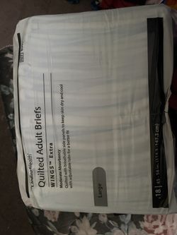 Adult Briefs Size Large 