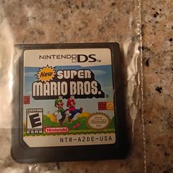 Nintendo DS Game
