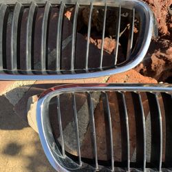 BMW F30 3 Series Stock OEM Kidney Grilles