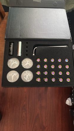 Tesla tire locks