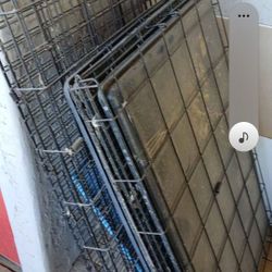 Dog Kennels 2 Xl And 2 L, Xl Are $60 Each And L Are $40