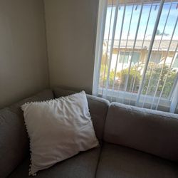 large Decorative Pillow