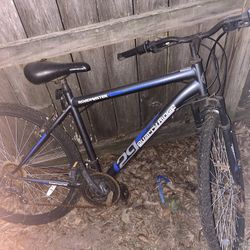 3 Bikes