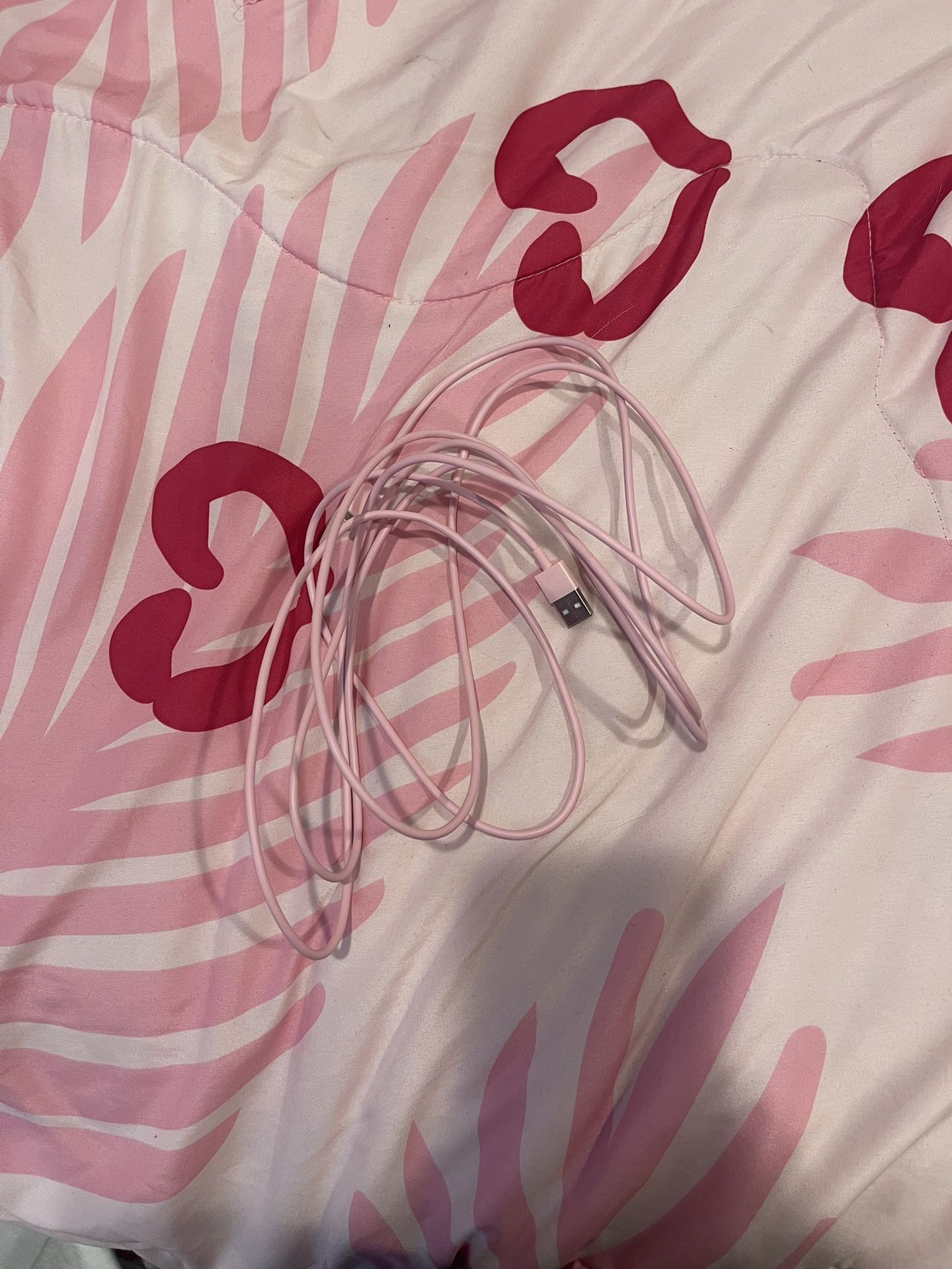 10 Ft iPhone Charger