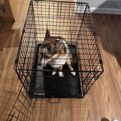 Dog Crate
