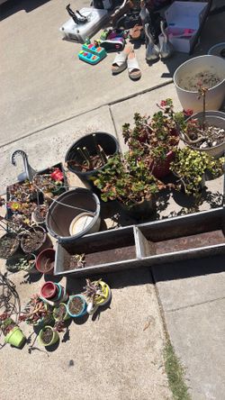 Free stuff