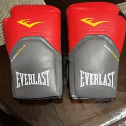 EverLast EverSheild 14 Oz Punching Gloves 