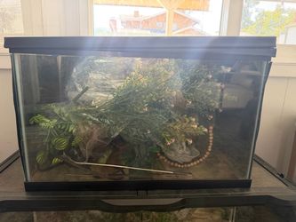 10 gallon tank