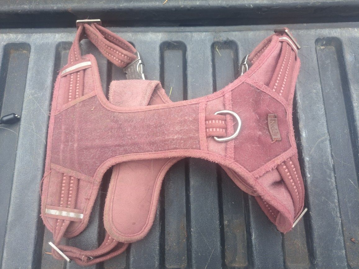 Dog Items - Collars, Restraining Devices, Leash, Etc