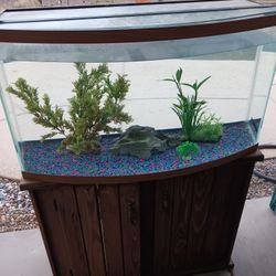 Real Nice 46 Gallon Bow Front Aquarium