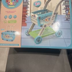 2 in 1 Shopping Cart and Hand Basket