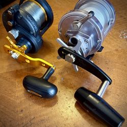 Daiwa Saltist BG35 / Pro Gear 545